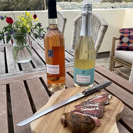 La Vue 360 Holiday home Centuri